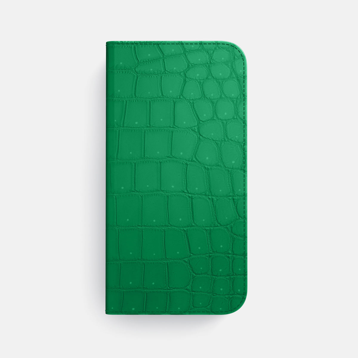 Folio Case For iPhone 17 Air In Porosus Crocodile -4 | Cactus-Green-Steel