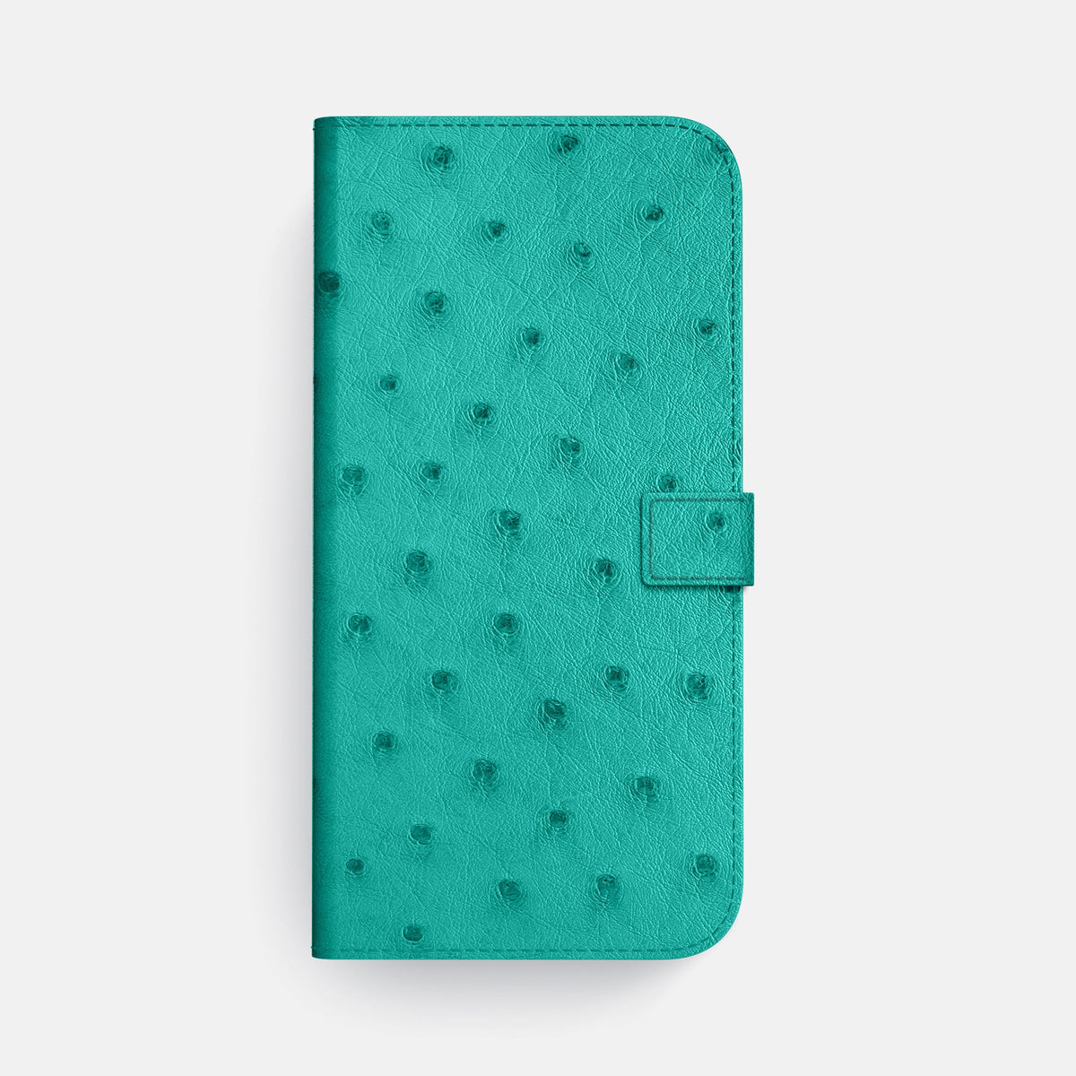 Folio Case with Clasp For iPhone 18 Pro Max In Ostrich -4 | Turquoise-Steel