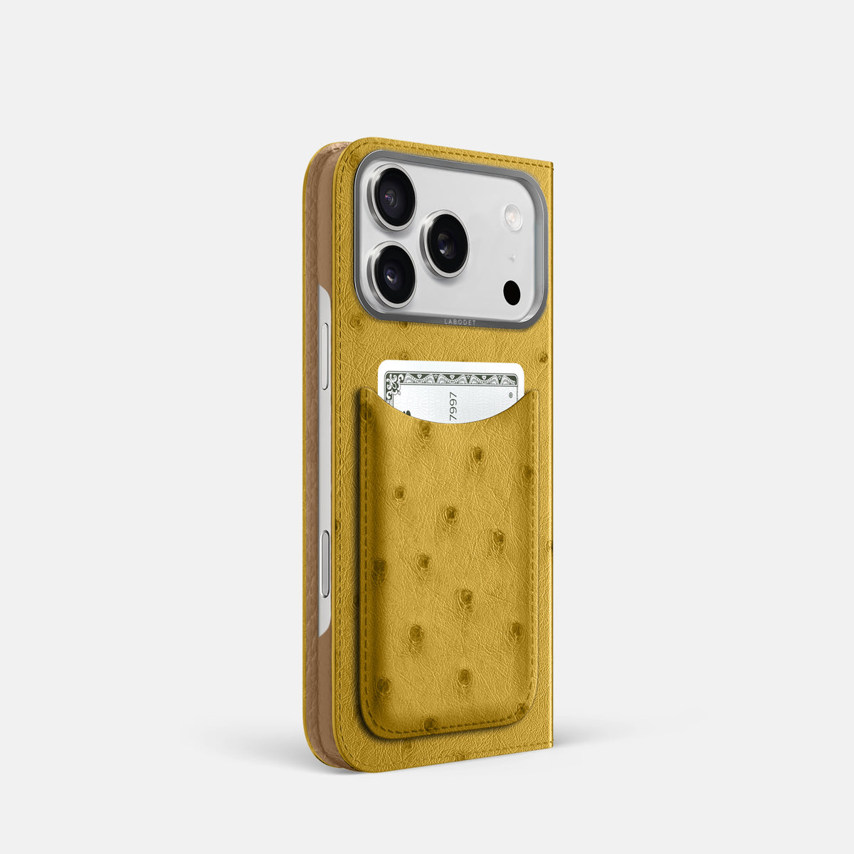 Folio Case with Card For iPhone 17 Pro In Ostrich -1 | Gold-Steel