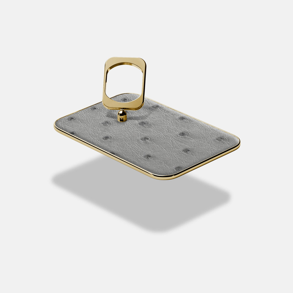 MagSafe Ring For iPhone 18 Pro In Ostrich -4 | Silver-Gold