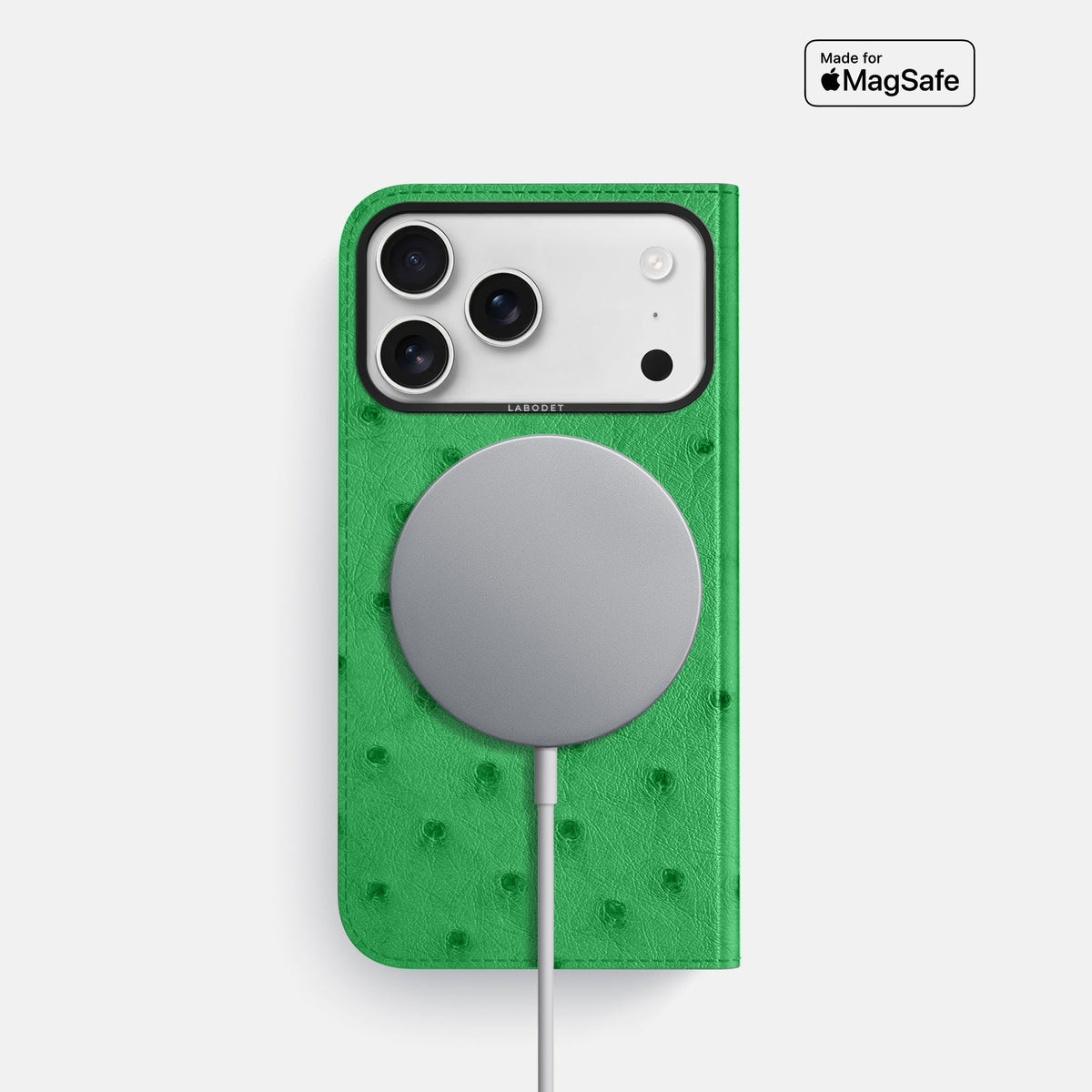 Folio Case For iPhone 18 Pro In Ostrich -3 | Kentucky-Green-Black