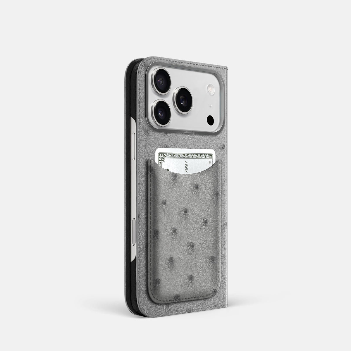 Folio Case with Card For iPhone 18 Pro In Ostrich -1 | Silver-Steel