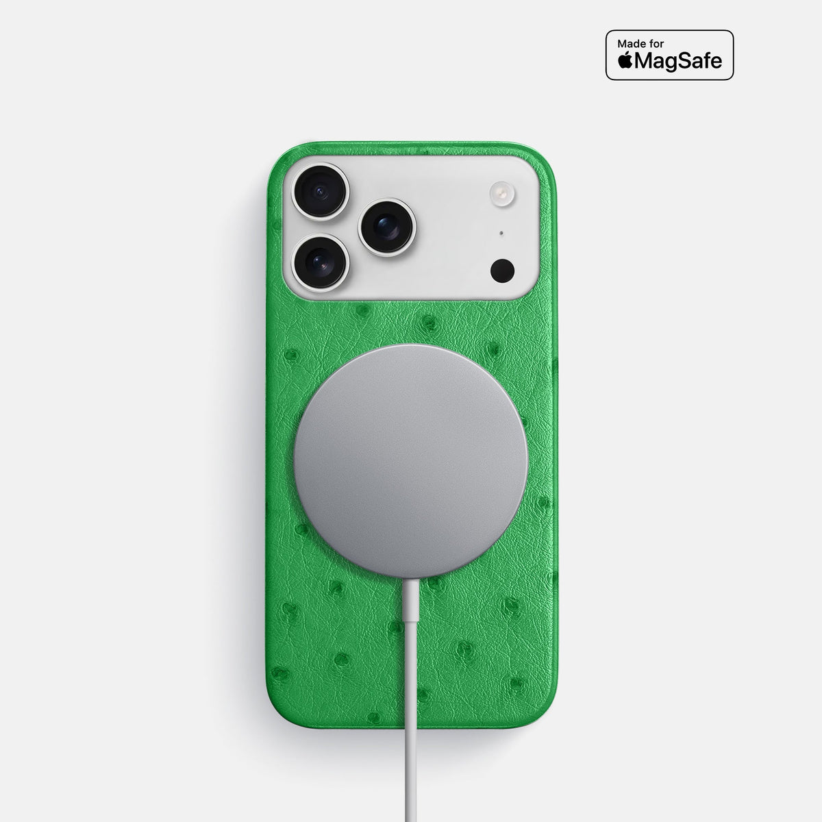 Slim Case For iPhone 18 Pro In Ostrich -5 | Kentucky-Green