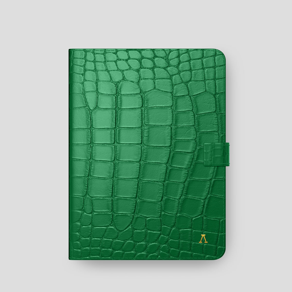 Forest-Green iPad Pro 11 Folio Case In Alligator with Gold Metal -4 | Forest-Green-Gold