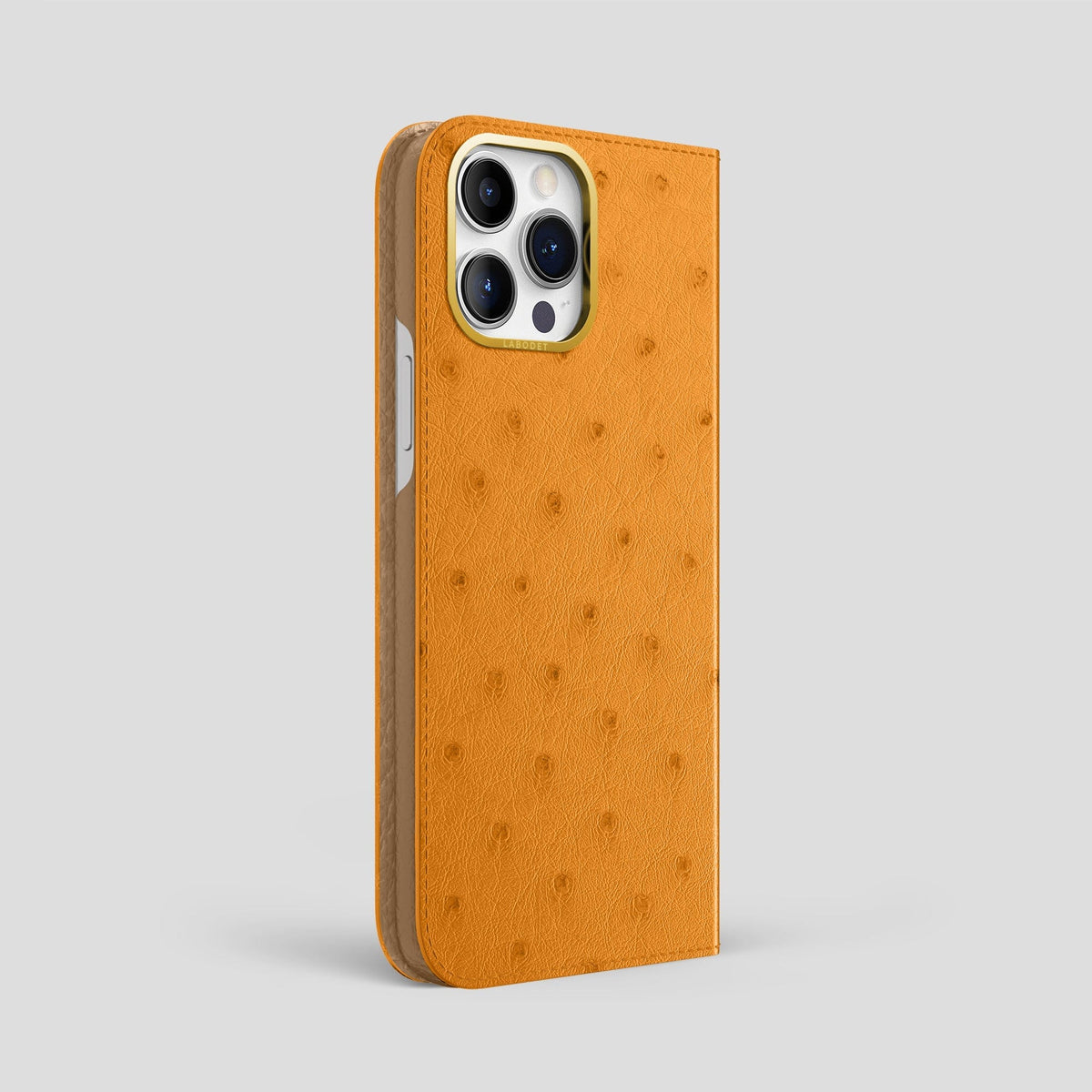 Chestnut iPhone 15 Pro Max Folio Case Ostrich with Gold Metal -1 | Chestnut-Gold