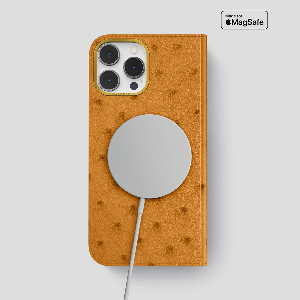 Chestnut iPhone 15 Pro Max Folio Case Ostrich with Gold Metal -3 | Chestnut-Gold