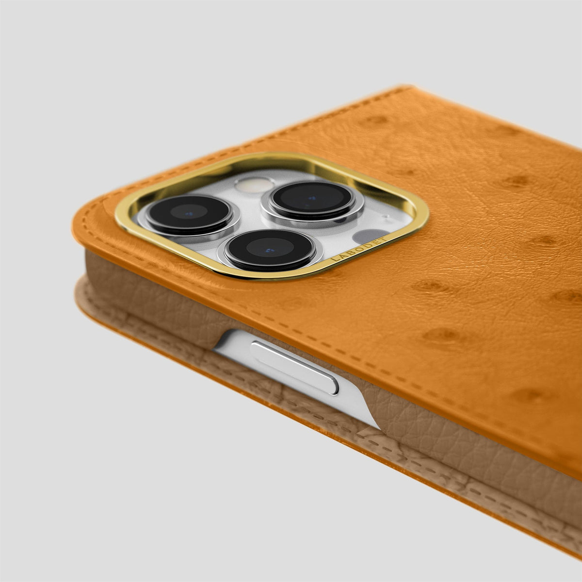 Chestnut iPhone 15 Pro Max Folio Case Ostrich with Gold Metal -5 | Chestnut-Gold