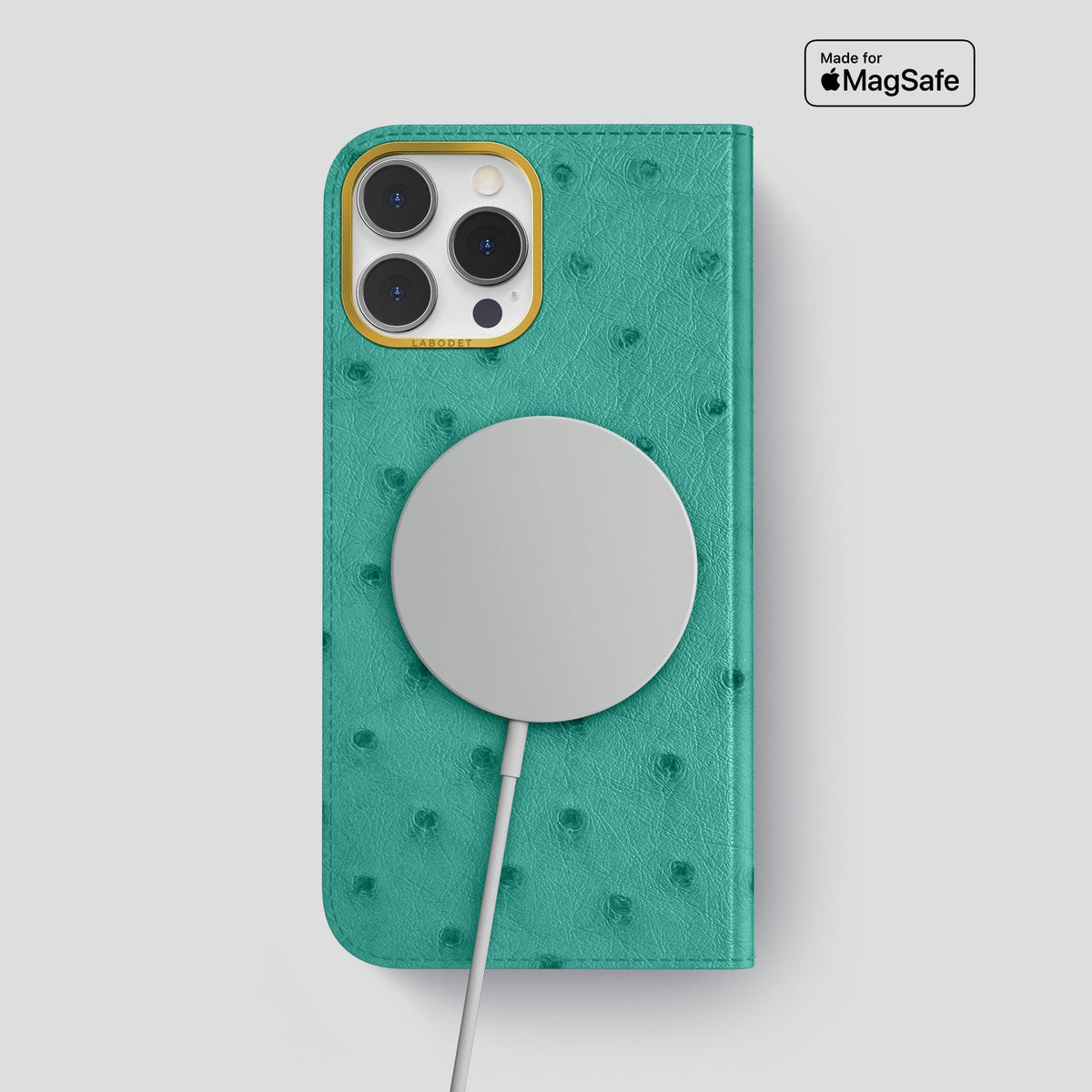 Turquoise iPhone 15 Pro Max Folio Case Ostrich with Gold Metal -3 | Turquoise-Gold