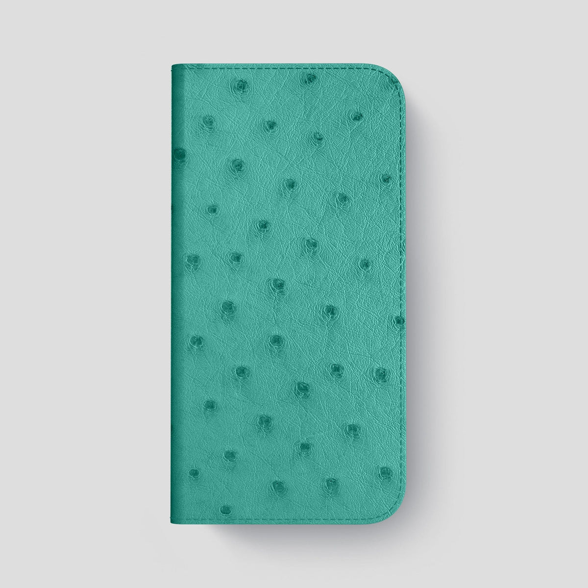 Turquoise iPhone 15 Pro Max Folio Case Ostrich with Steel Metal -4 | Turquoise-Steel