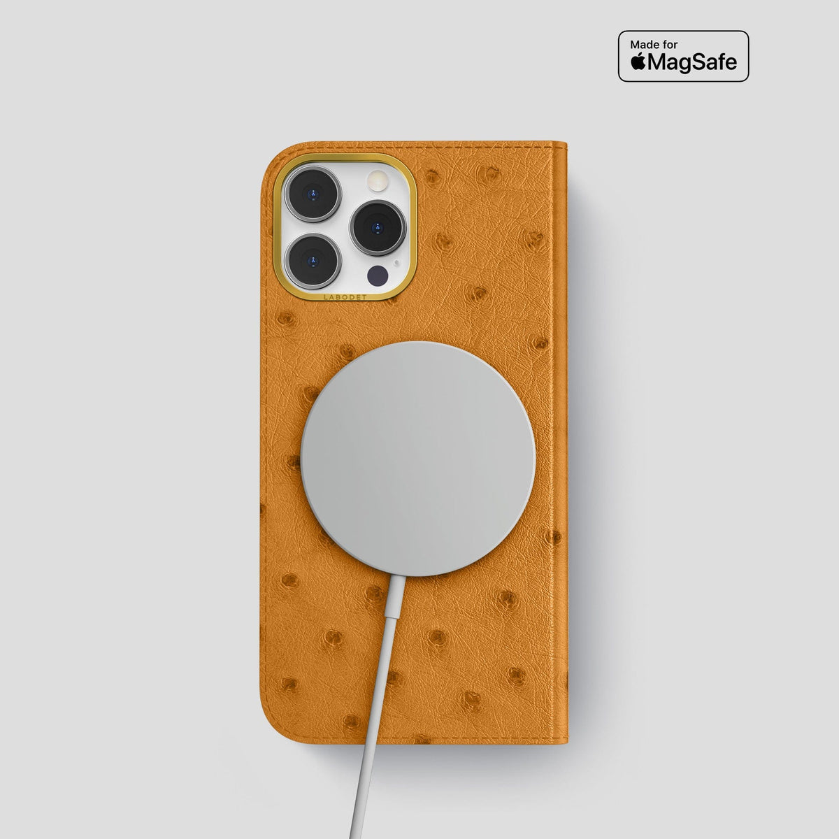 Chestnut iPhone 15 Pro Folio Case Ostrich with Gold Metal -3 | Chestnut-Gold