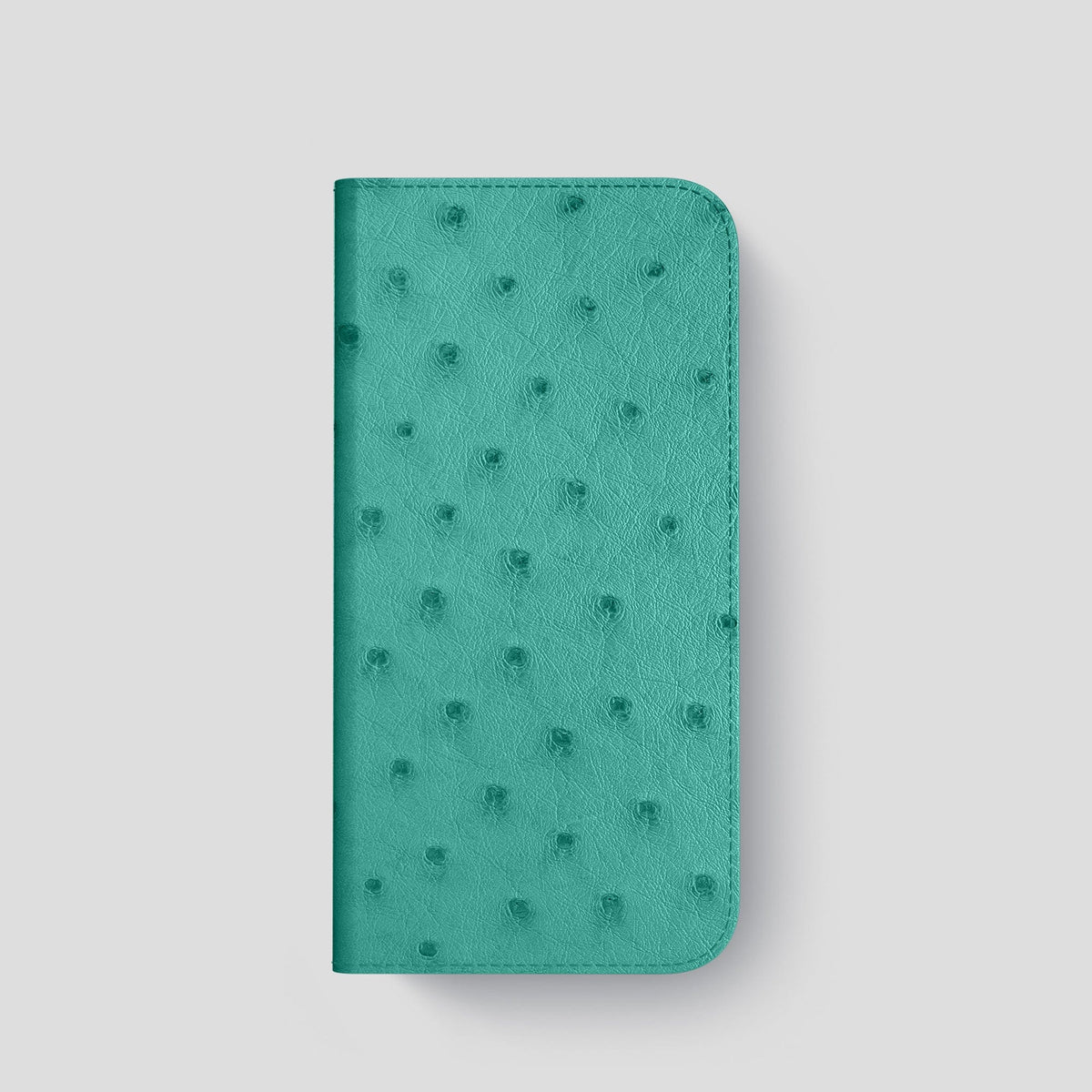 Turquoise iPhone 15 Pro Folio Case Ostrich with Black Metal -4 | Turquoise-Black