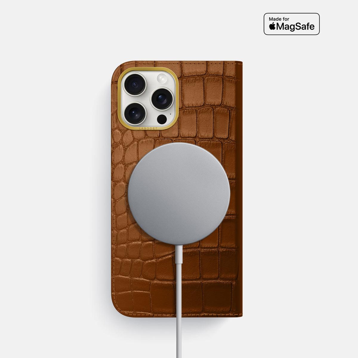 Honey iPhone 16 Pro Folio Case In Alligator with Gold Metal -3 | Honey-Gold
