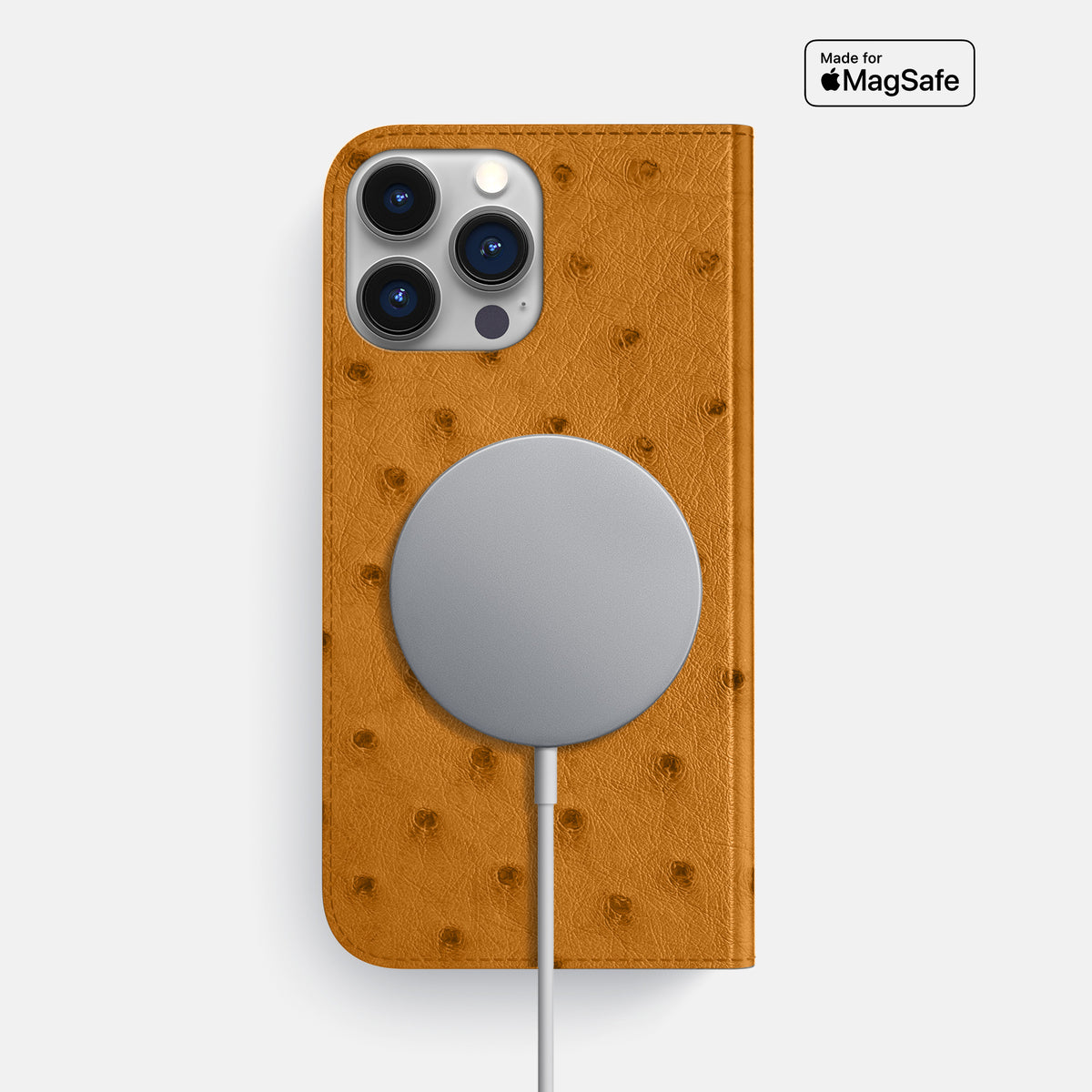 Chestnut iPhone 16 Pro Max Folio Case Ostrich -3 | Chestnut