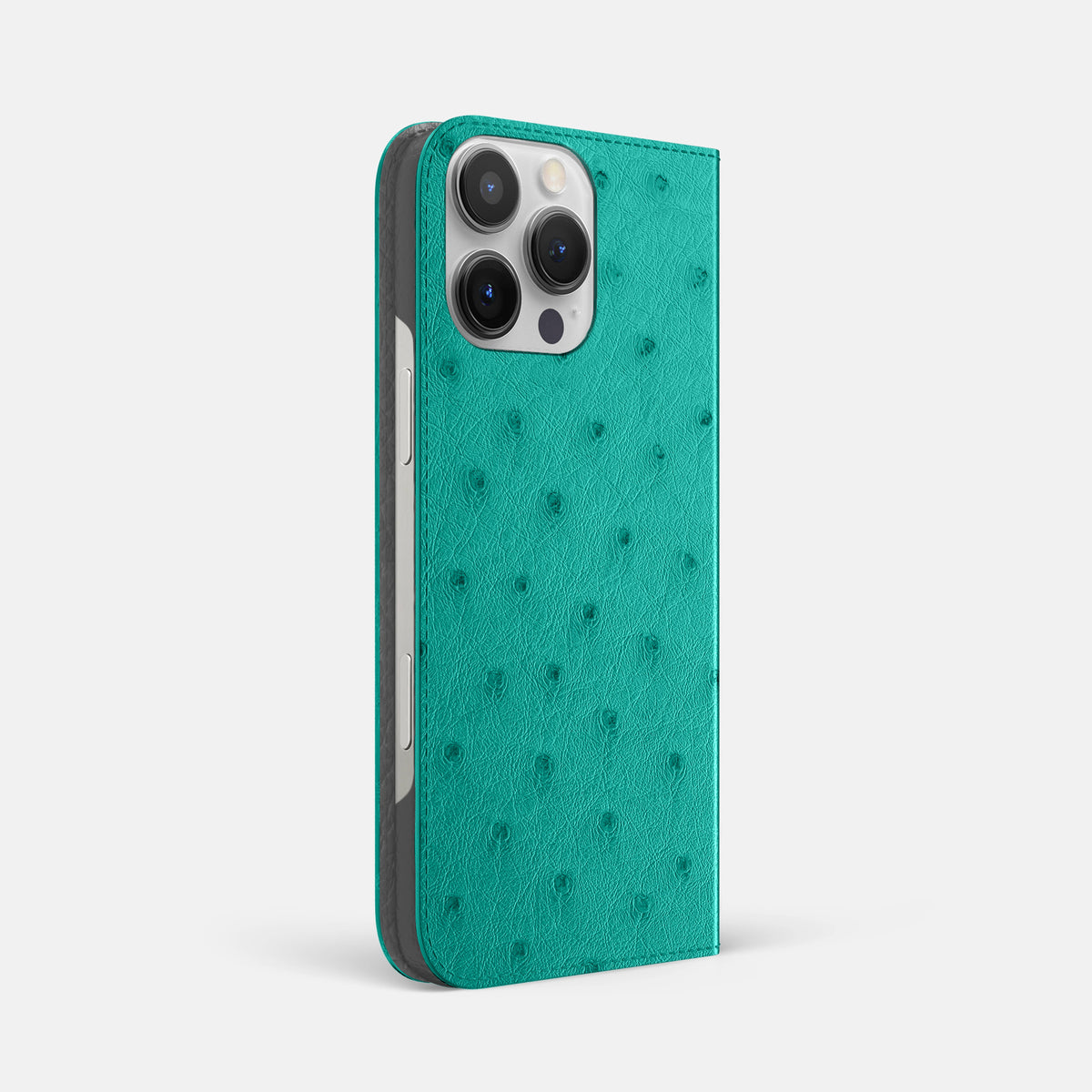 Turquoise iPhone 16 Pro Max Folio Case Ostrich -1 | Turquoise