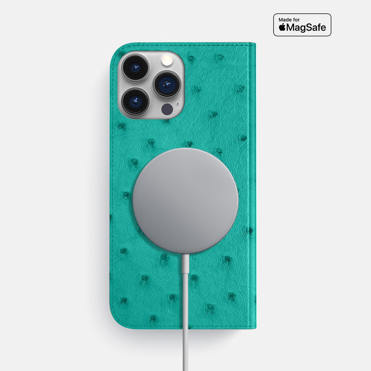Turquoise iPhone 16 Pro Max Folio Case Ostrich -3 | Turquoise
