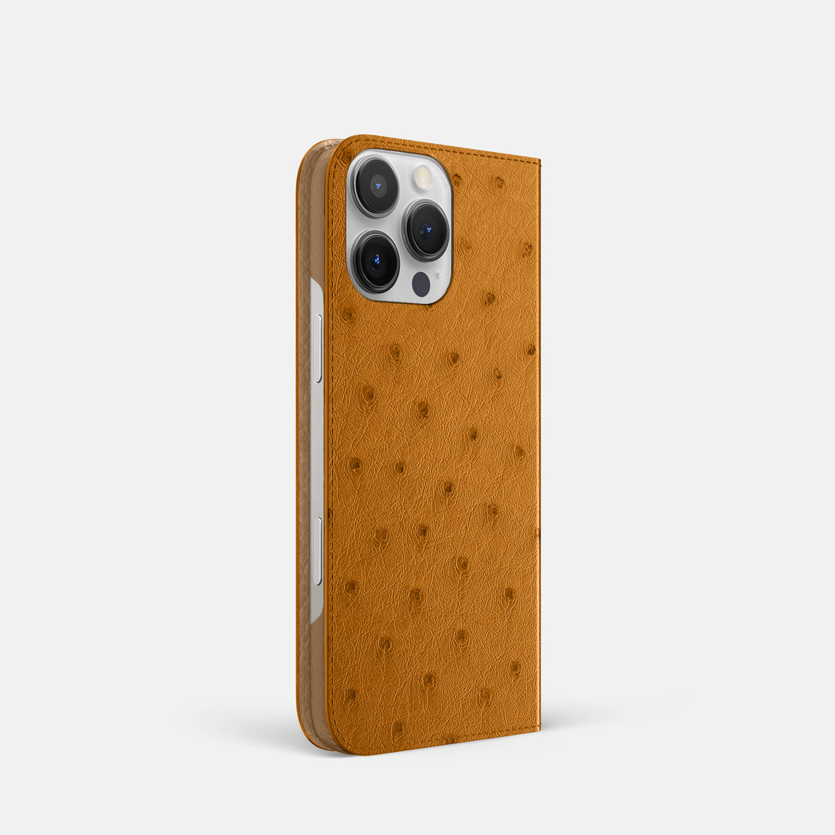 Chestnut iPhone 16 Pro Folio Case Ostrich -1 | Chestnut
