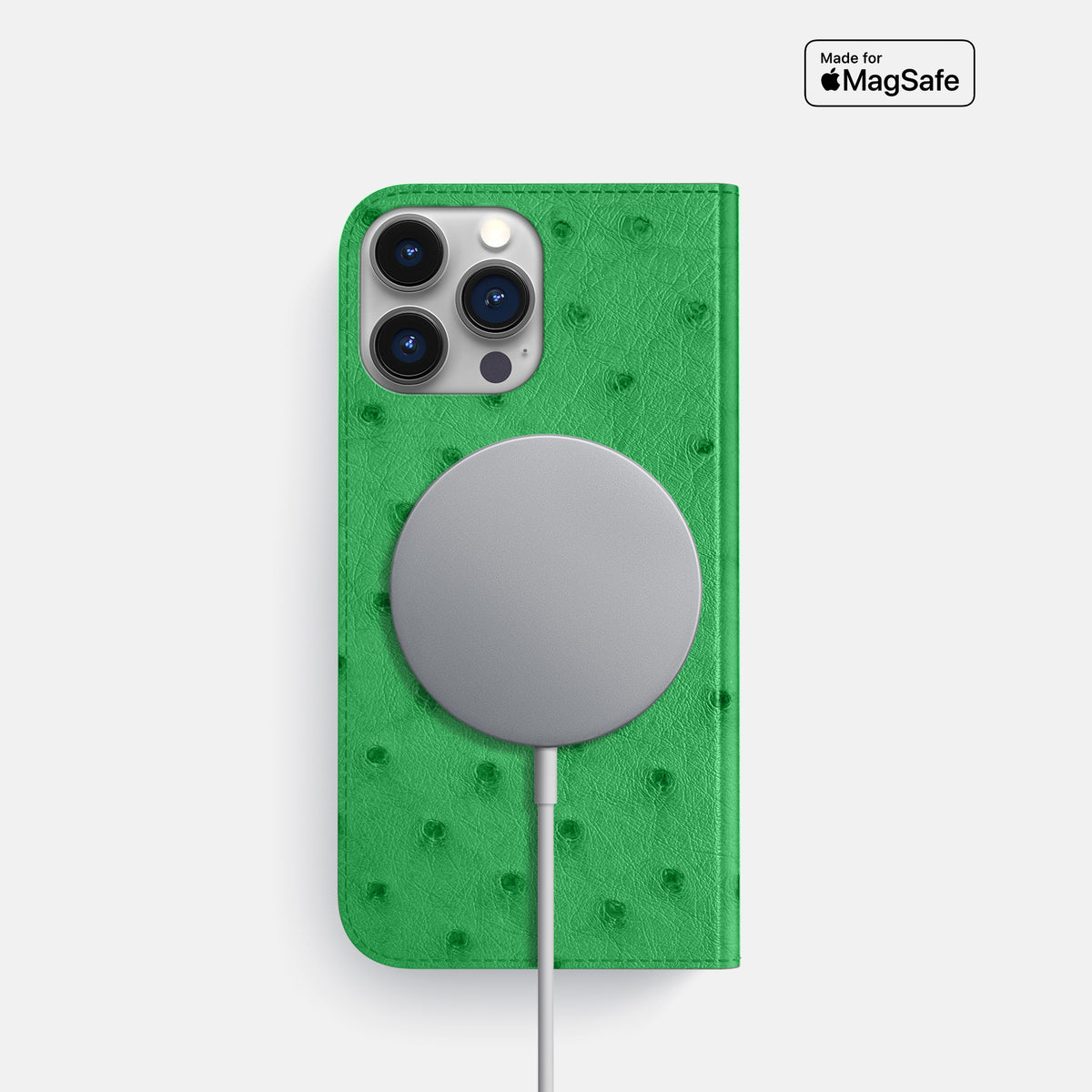 Kentucky Green iPhone 16 Pro Folio Case Ostrich -3 | Kentucky-Green