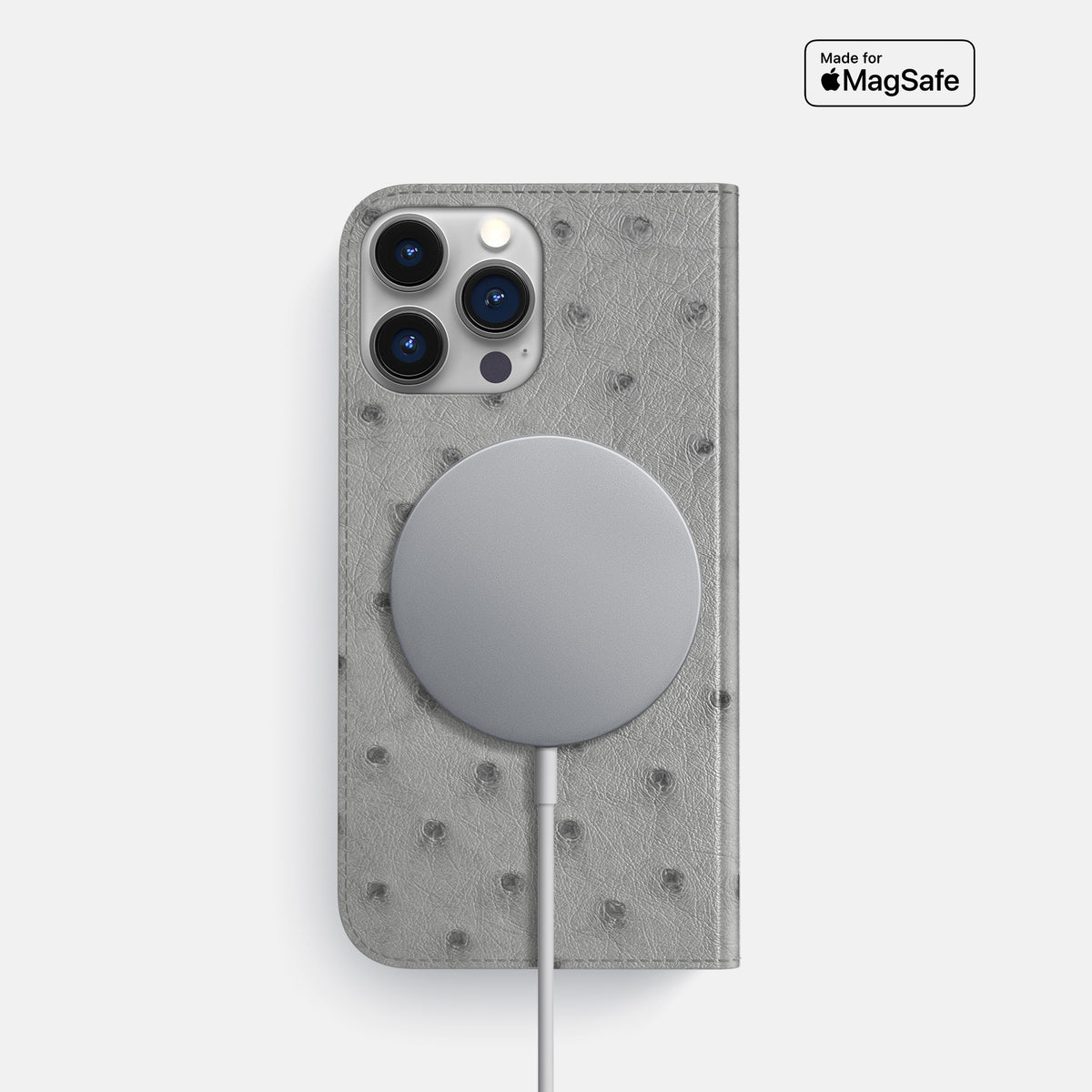 Silver iPhone 16 Pro Folio Case Ostrich -3 | Silver