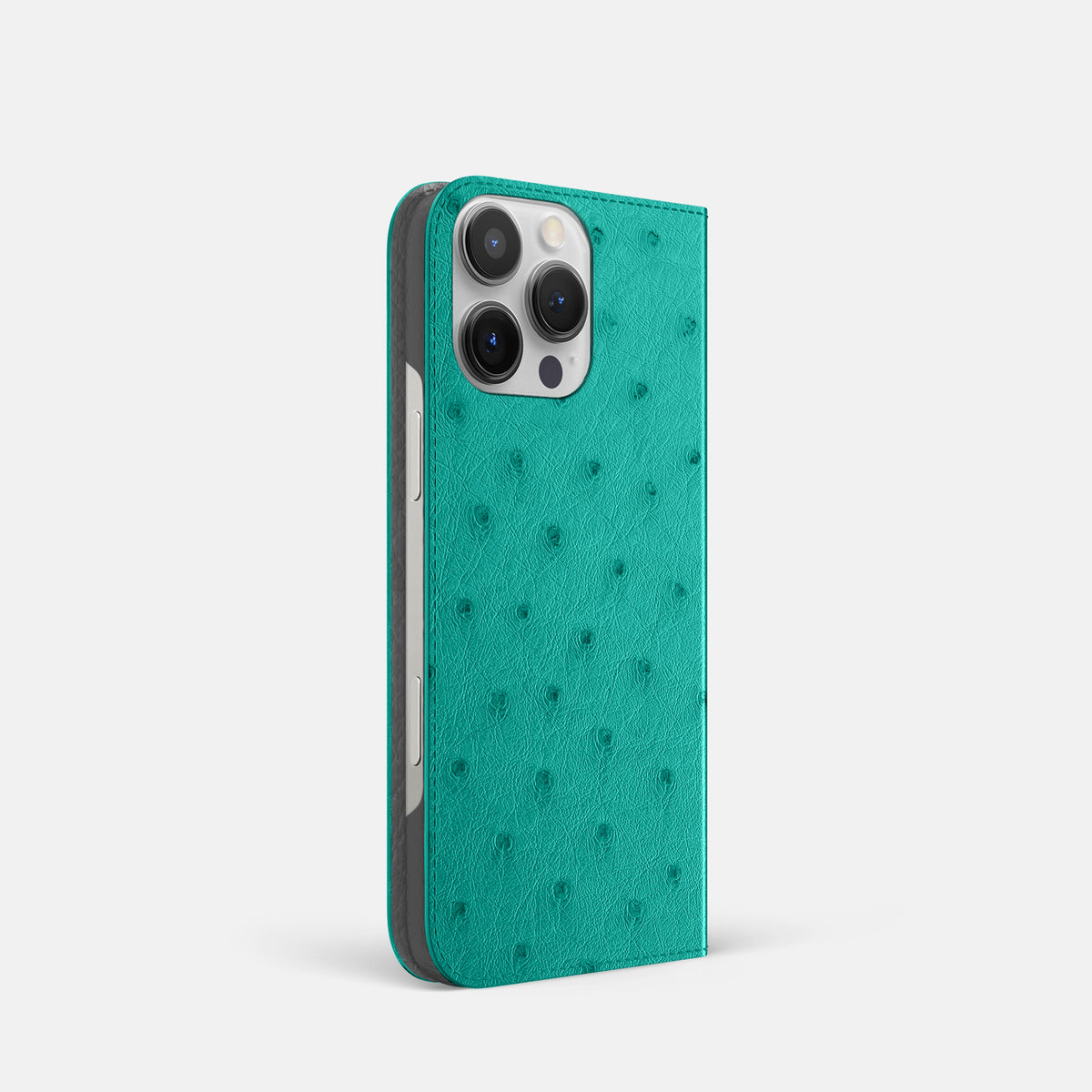 Turquoise iPhone 16 Pro Folio Case Ostrich -1 | Turquoise