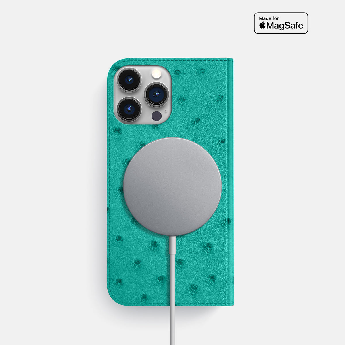 Turquoise iPhone 16 Pro Folio Case Ostrich -3 | Turquoise
