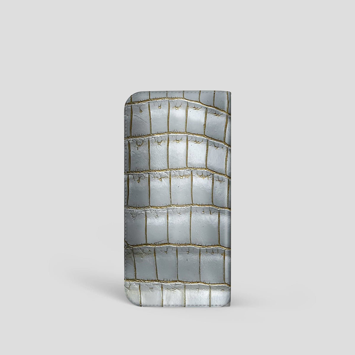 Arctic Glasses Case Himalayan Crocodile -2 | Arctic