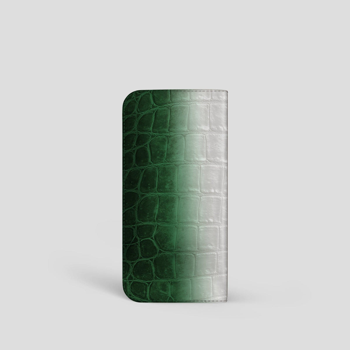 Green Glasses Case Himalayan Crocodile -2 | Green
