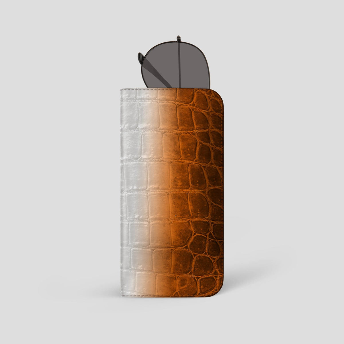 Orange Glasses Case Himalayan Crocodile -1 | Orange