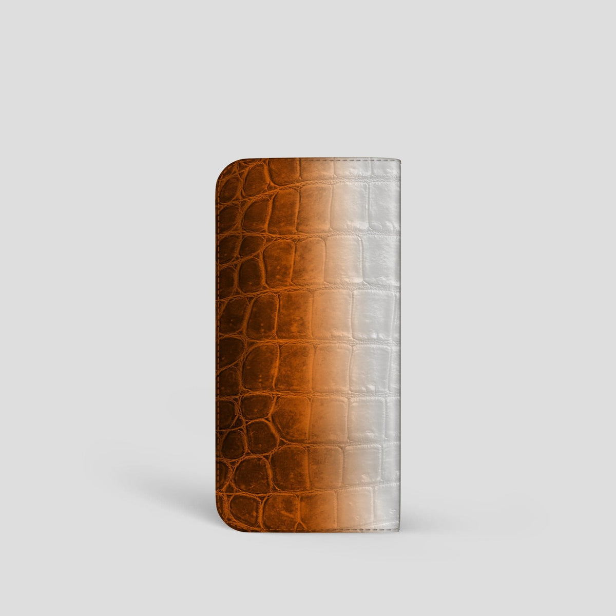 Orange Glasses Case Himalayan Crocodile -2 | Orange