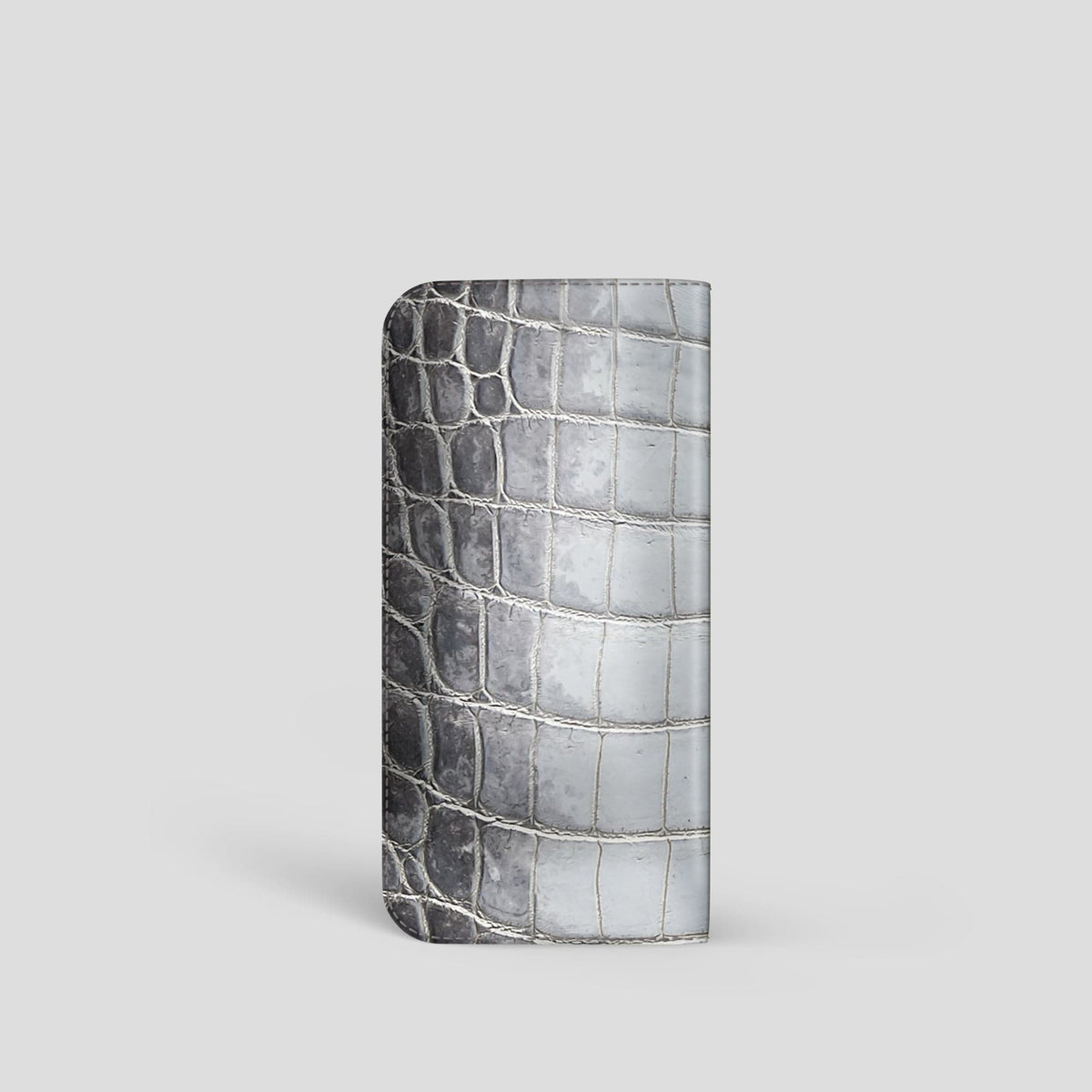 Silver Glasses Case Himalayan Crocodile -2 | Silver