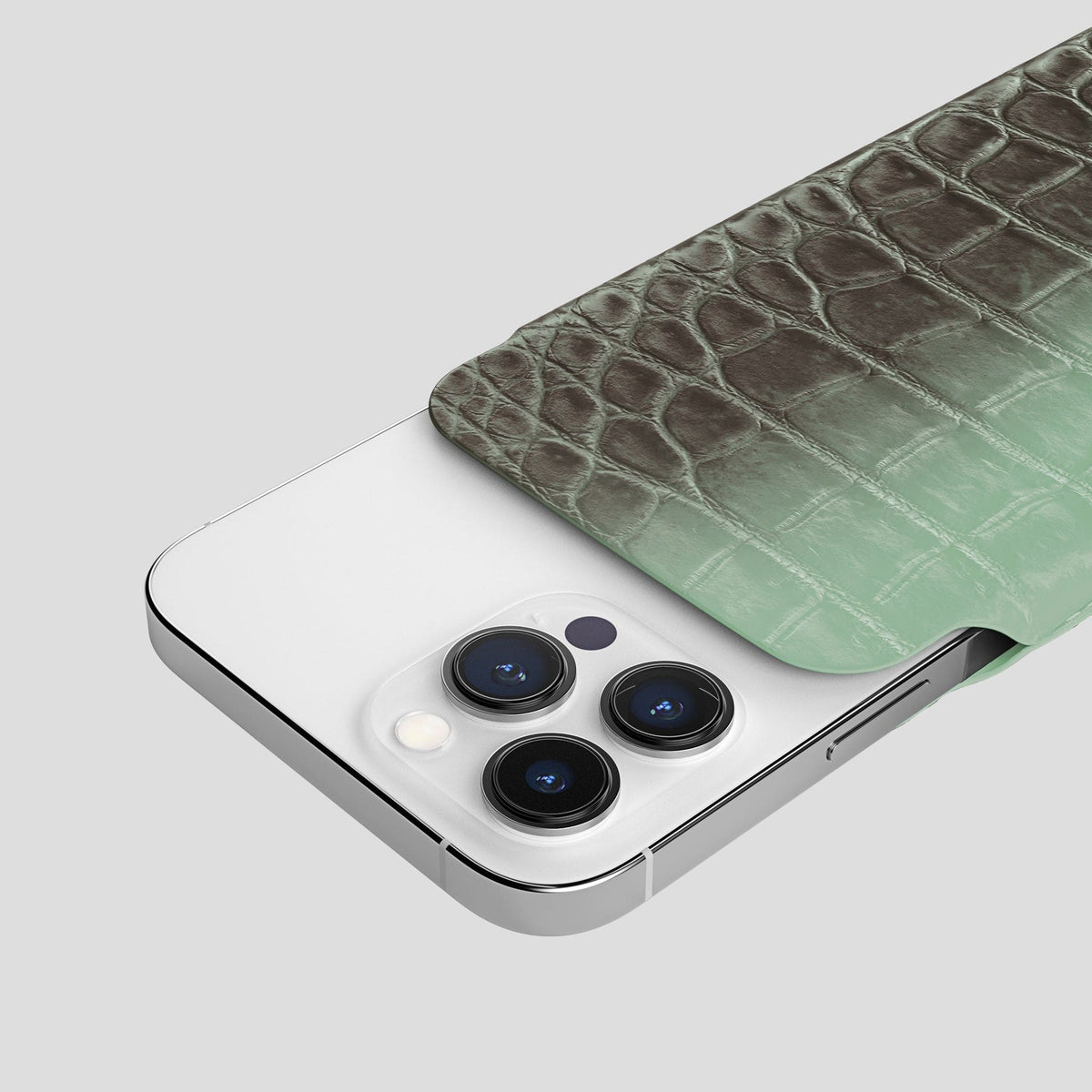 Pistachio iPhone 14 Pro Himalaya Pouch Case Himalayan Crocodile -5 | Pistachio