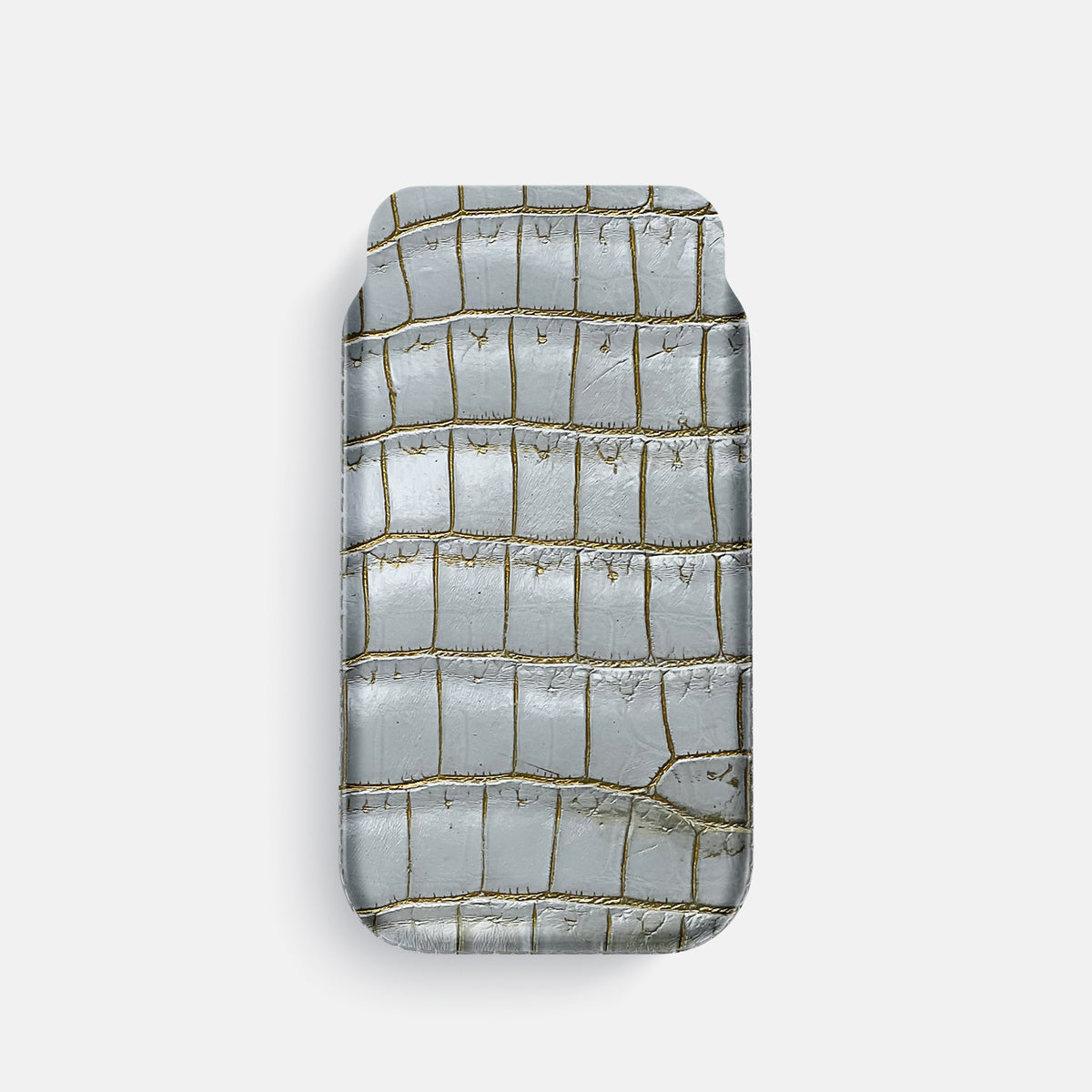 Arctic iPhone 16 Pro Pouch Case Himalayan Crocodile -1 | Arctic
