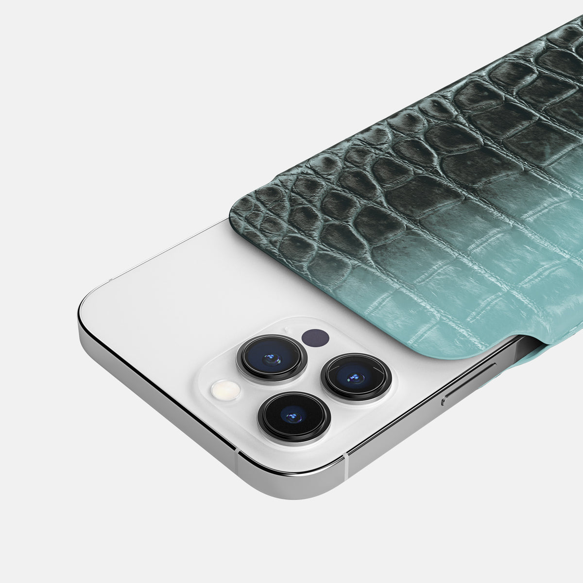 Light-Mint iPhone 16 Pro Pouch Case Himalayan Crocodile -5 | Light-Mint