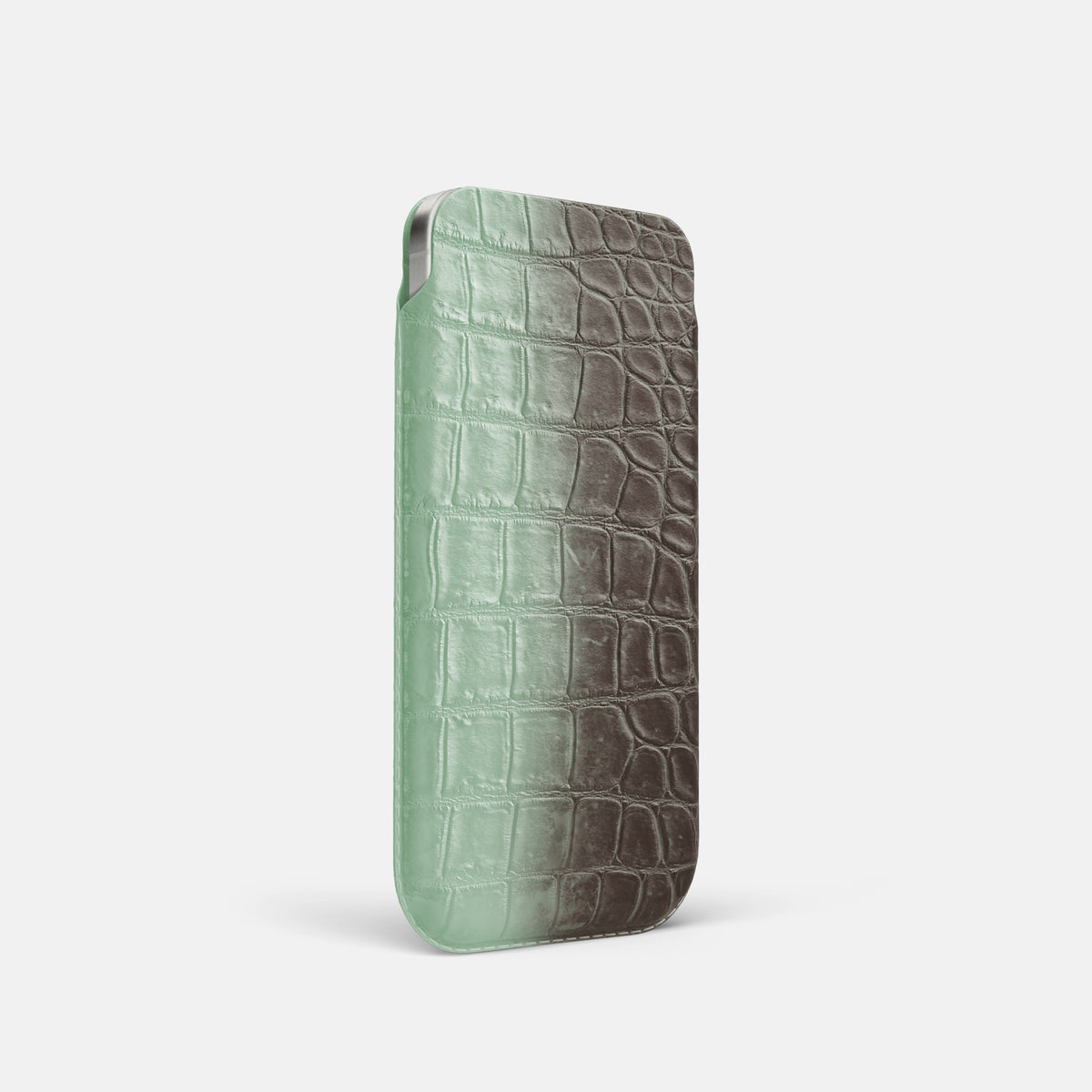 Pistachio iPhone 16 Pro Pouch Case Himalayan Crocodile -2 | Pistachio