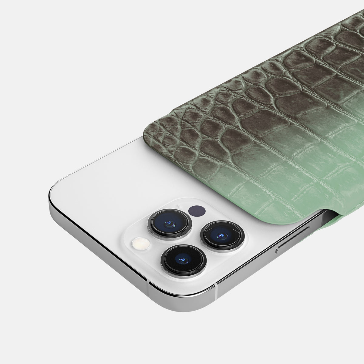 Pistachio iPhone 16 Pro Max Pouch Case Himalayan Crocodile -5 | Pistachio