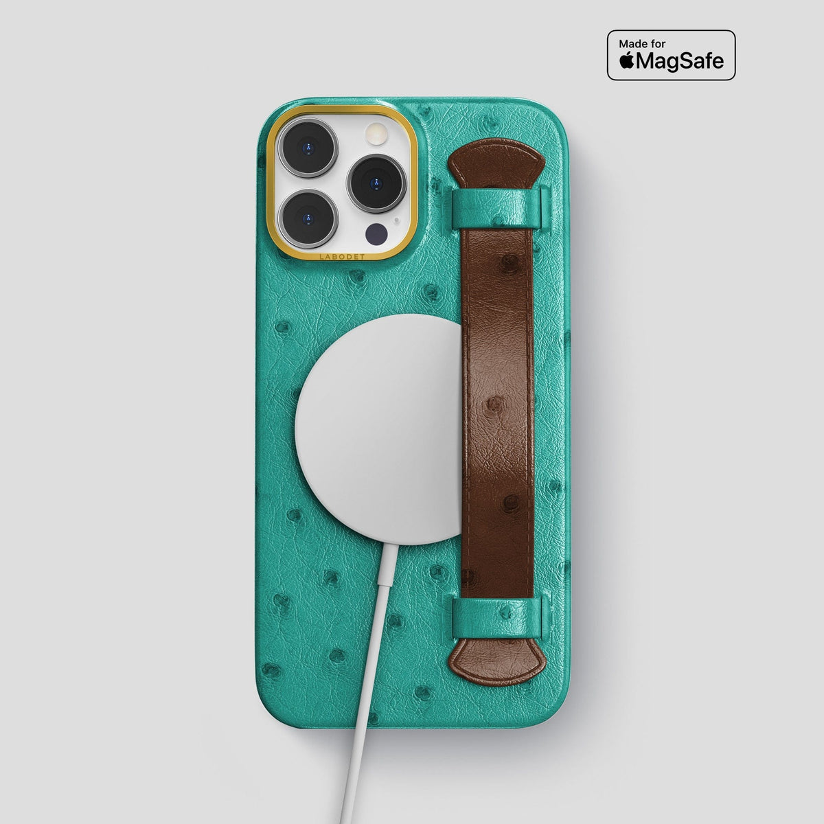 Green-Chocolate iPhone 13 Pro Max Handle Case Colore Ostrich with Gold Metal -5 | Green-Chocolate-Gold