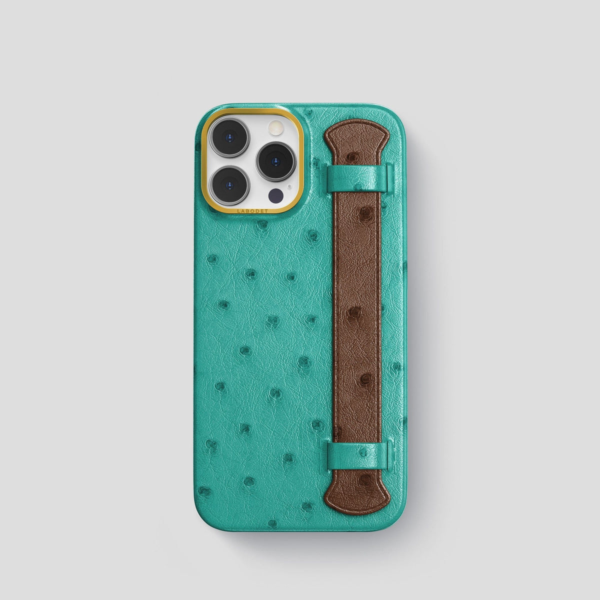 Green-Chocolate iPhone 13 Pro Handle Case Colore Ostrich with Gold Metal -1 | Green-Chocolate-Gold