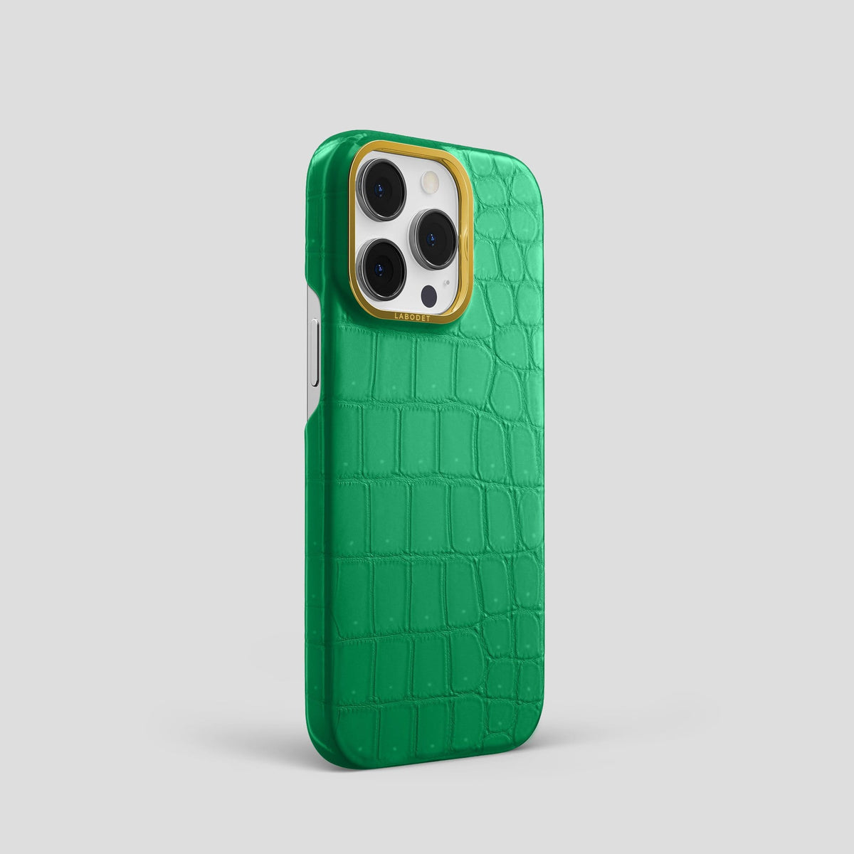 Cactus Green iPhone 13 Pro Classic Case with Gold Metal -2 | Cactus-Green-Gold