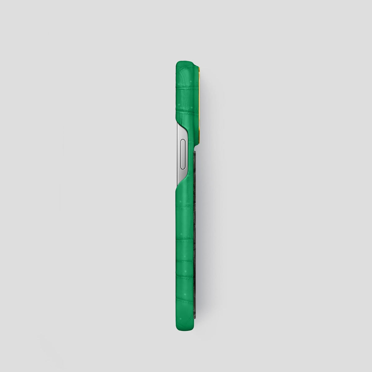 Cactus Green iPhone 13 Pro Classic Case with Gold Metal -3 | Cactus-Green-Gold