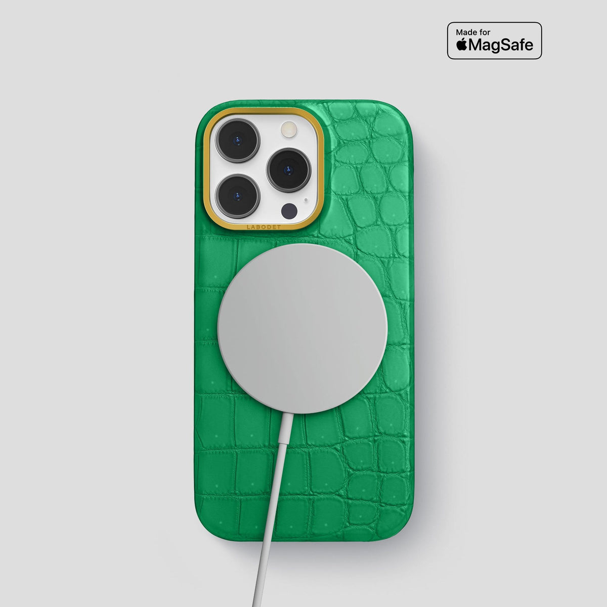 Cactus Green iPhone 13 Pro Classic Case with Gold Metal -5 | Cactus-Green-Gold