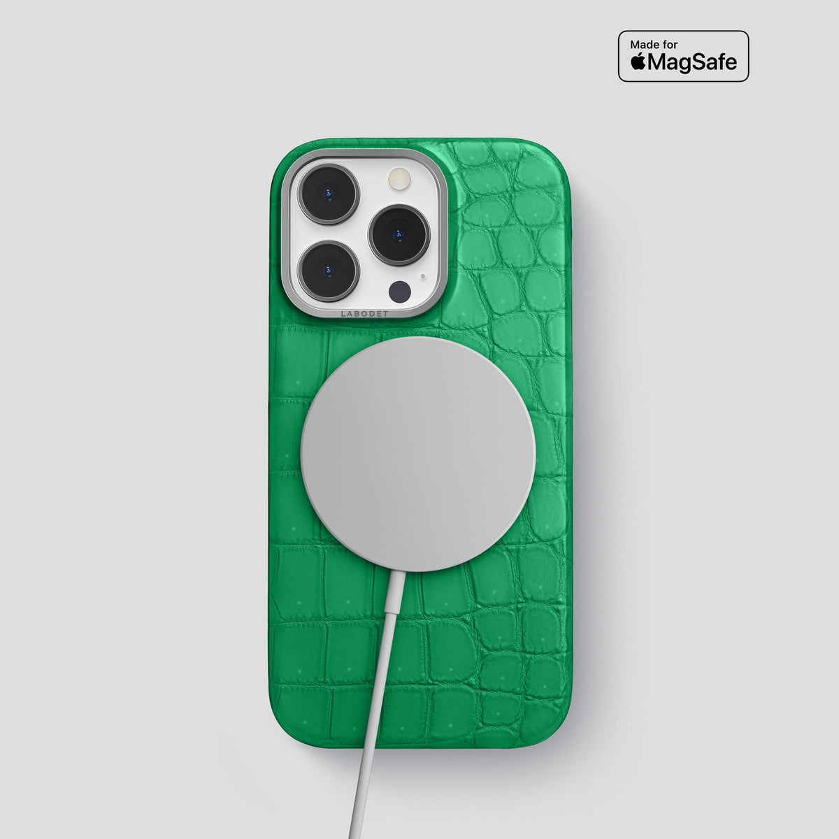 Cactus Green iPhone 13 Pro Classic Case with Steel Metal -5 | Cactus-Green-Steel