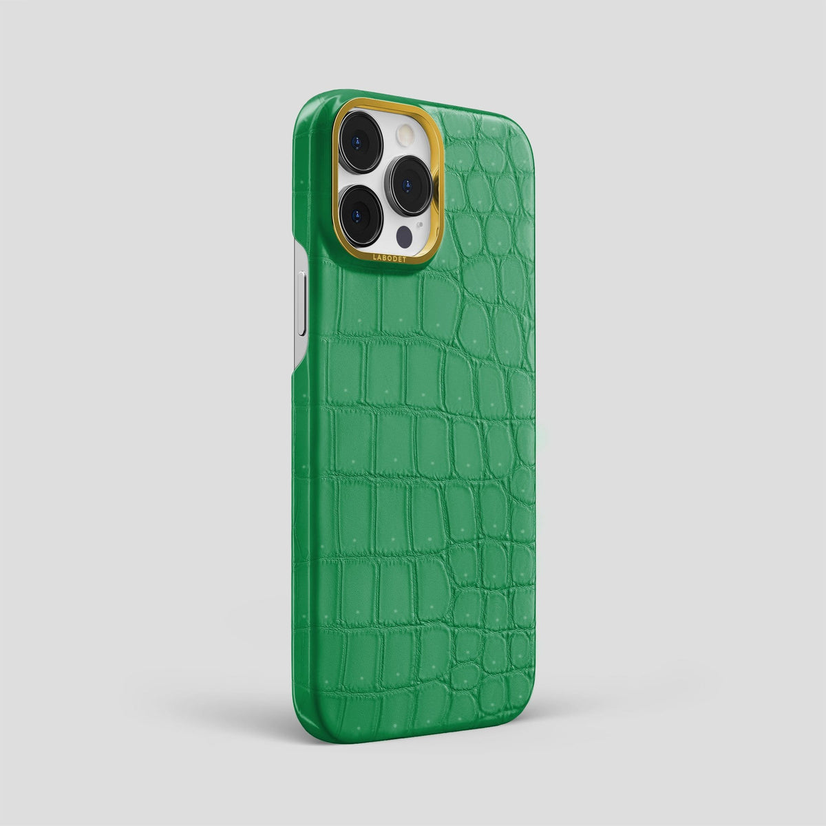 Cactus Green iPhone 13 Pro Max Classic Case with Gold Metal -2 | Cactus-Green-Gold