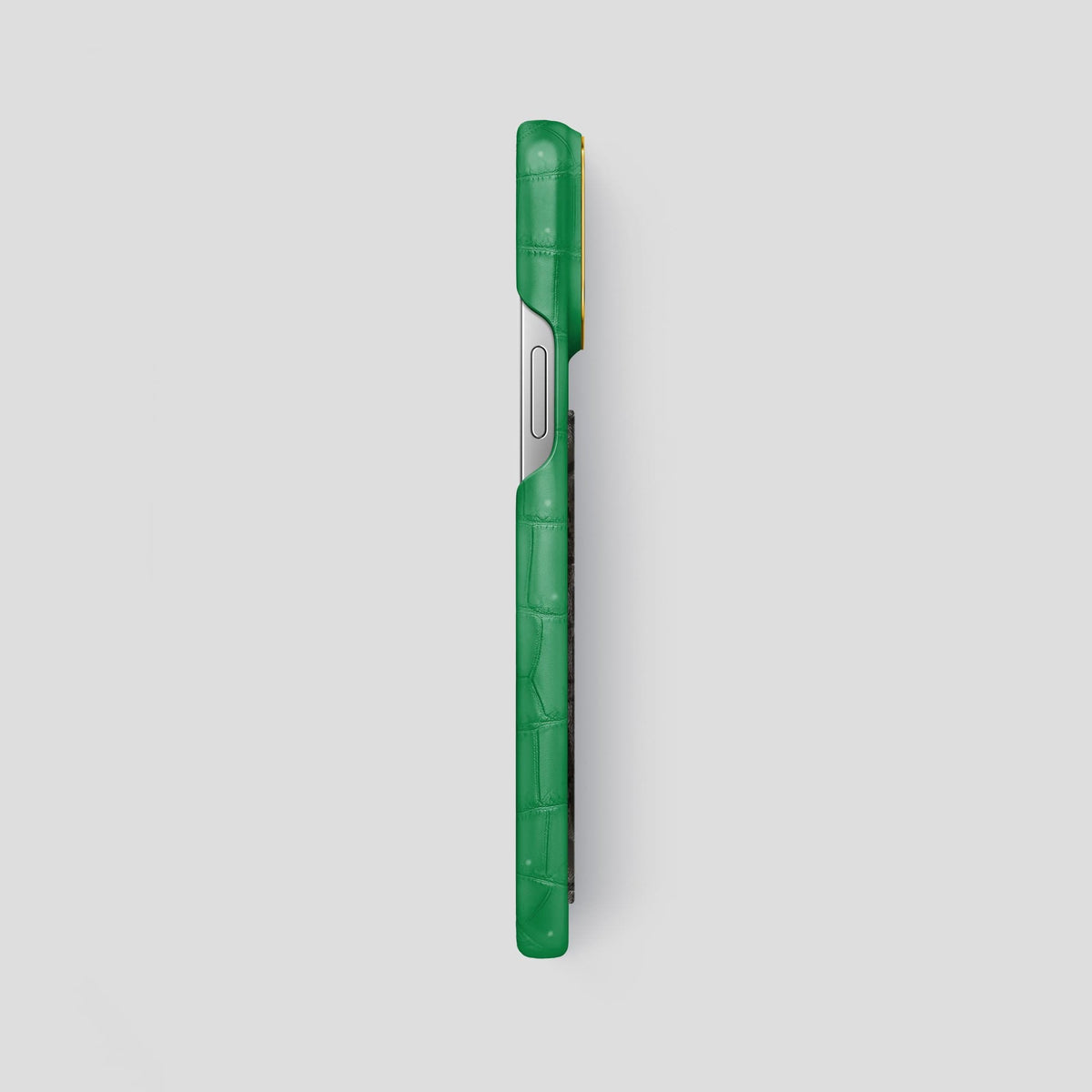 Cactus Green iPhone 13 Pro Max Classic Case with Gold Metal -3 | Cactus-Green-Gold