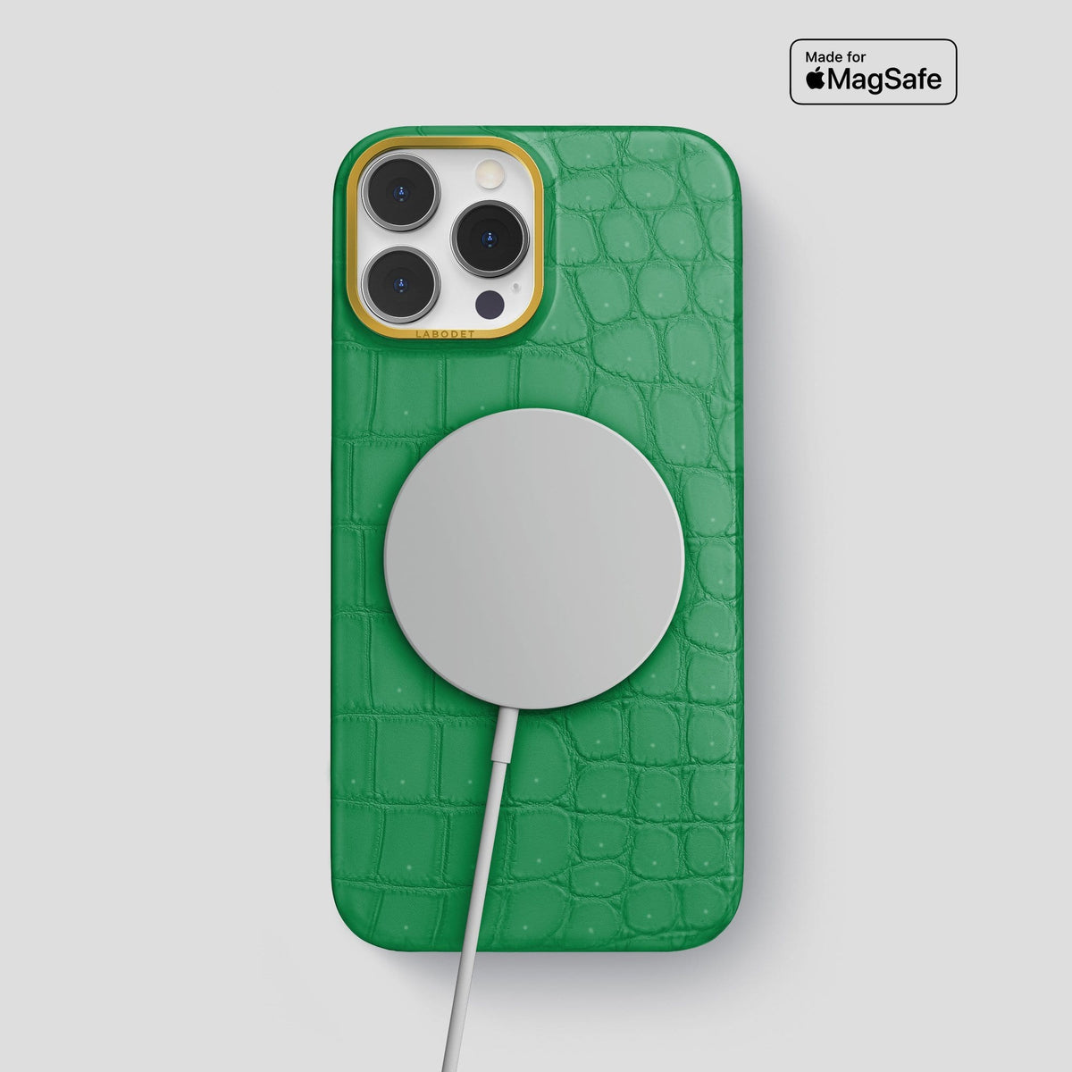 Cactus Green iPhone 13 Pro Max Classic Case with Gold Metal -5 | Cactus-Green-Gold