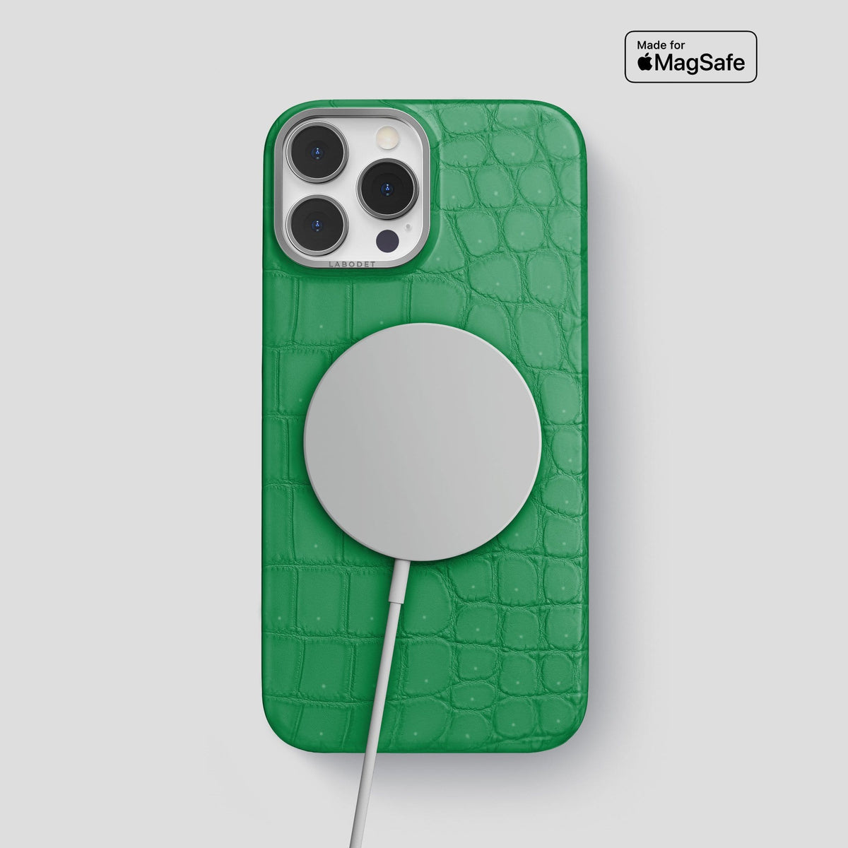 Cactus Green iPhone 13 Pro Max Classic Case with Steel Metal -5 | Cactus-Green-Steel