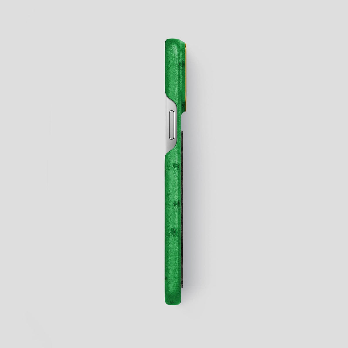Kentucky Green iPhone 13 Pro Max Classic Case Ostrich with Gold Metal -3 | Kentucky-Green-Gold