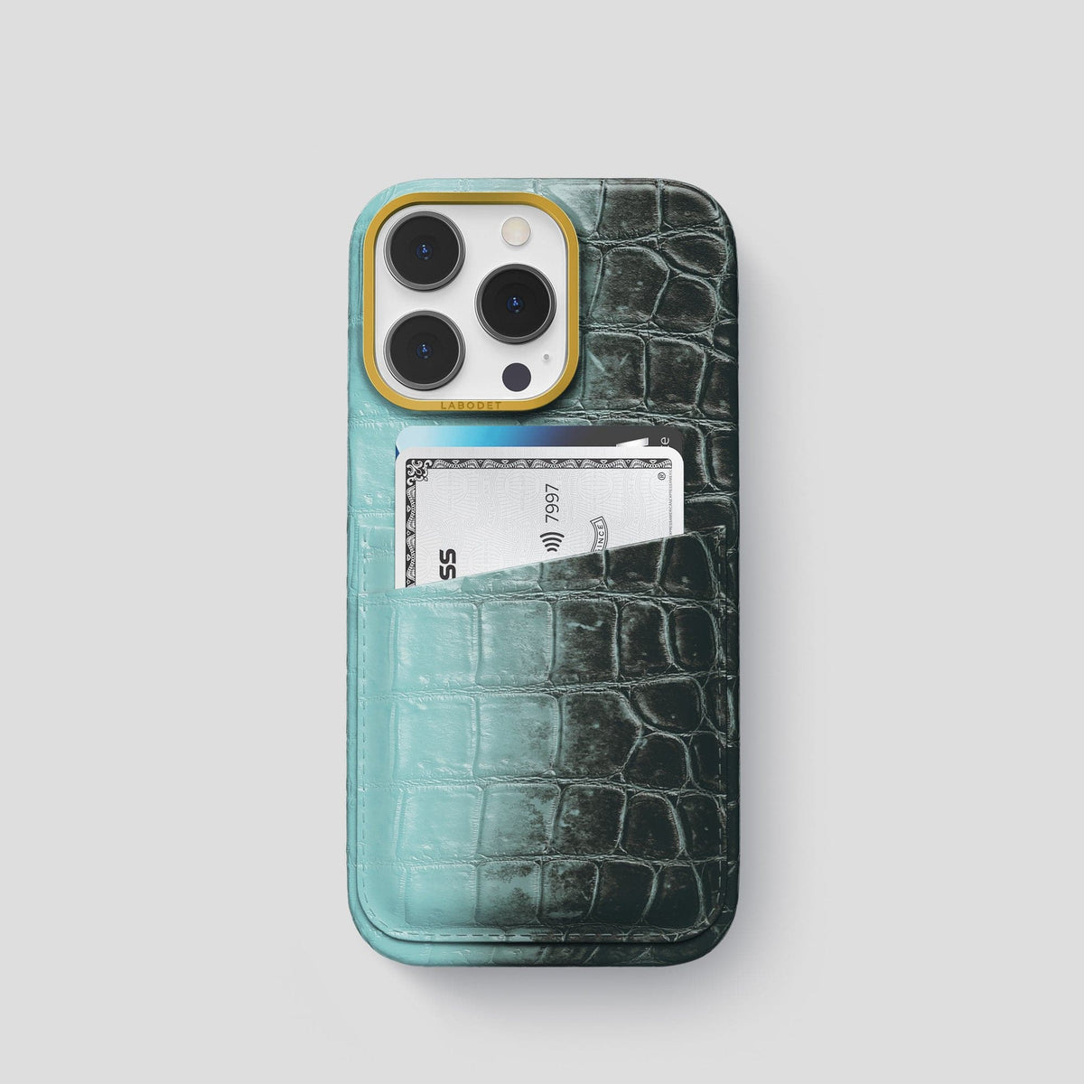 Light-Mint iPhone 13 Pro Himalaya Card Case with Gold Metal -1 | Light-Mint-Gold