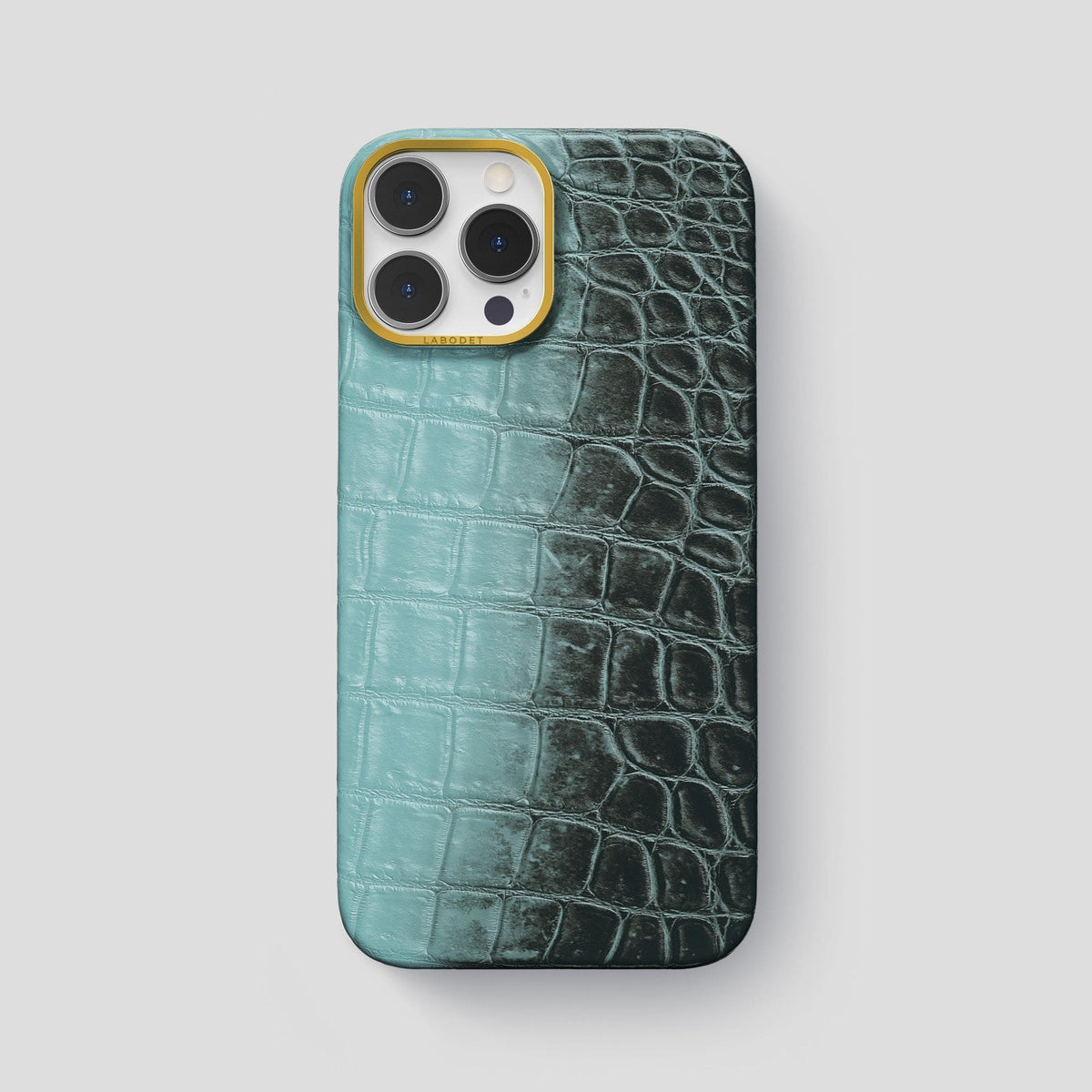 Light-Mint iPhone 13 Pro Max Himalaya Classic Case with Gold Metal -1 | Light-Mint-Gold