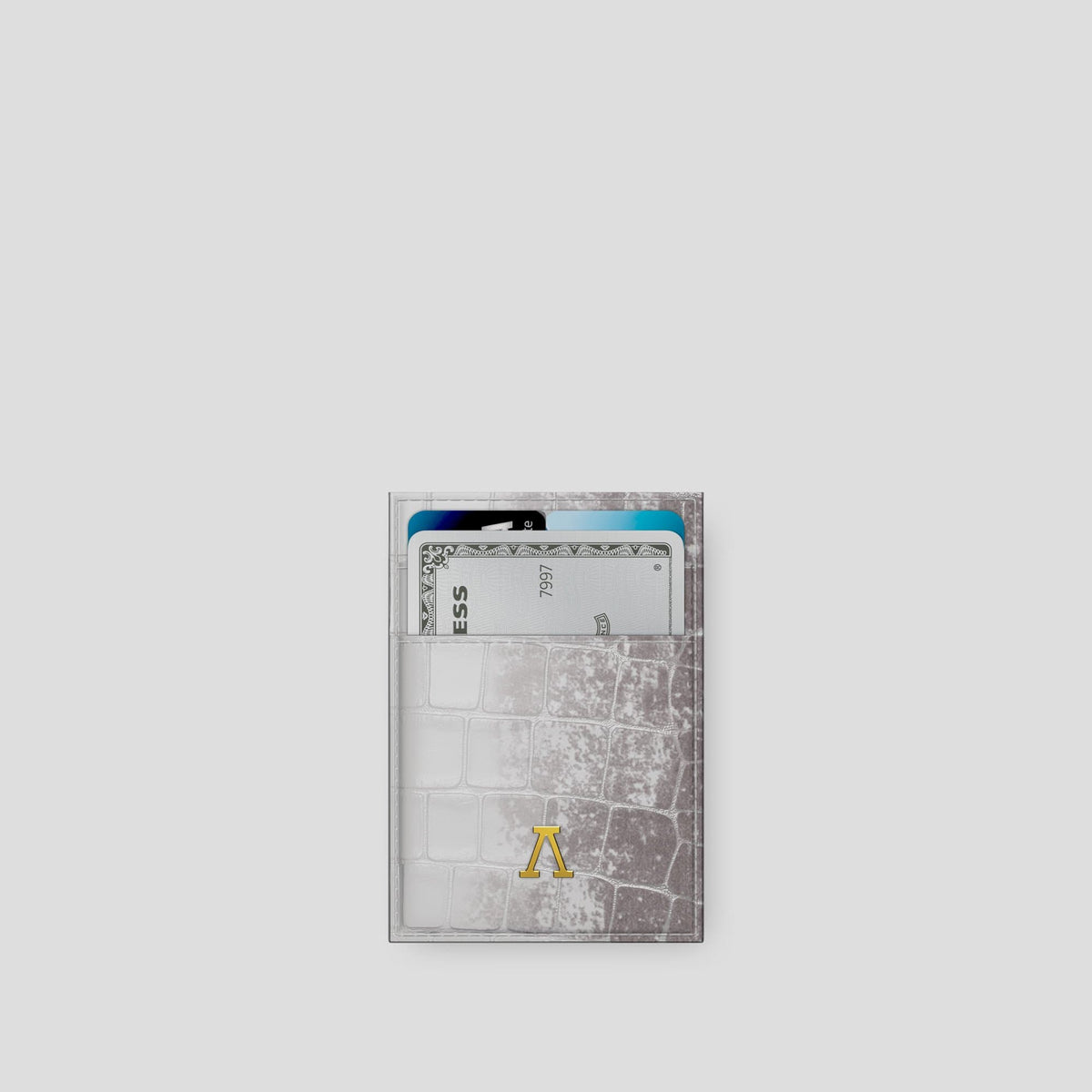 Light Himalaya Cardholder with Gold Metal -1 | Light-Gold