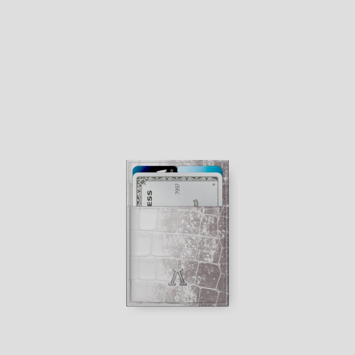 Light Himalaya Cardholder with Steel Metal -1 | Light-Steel