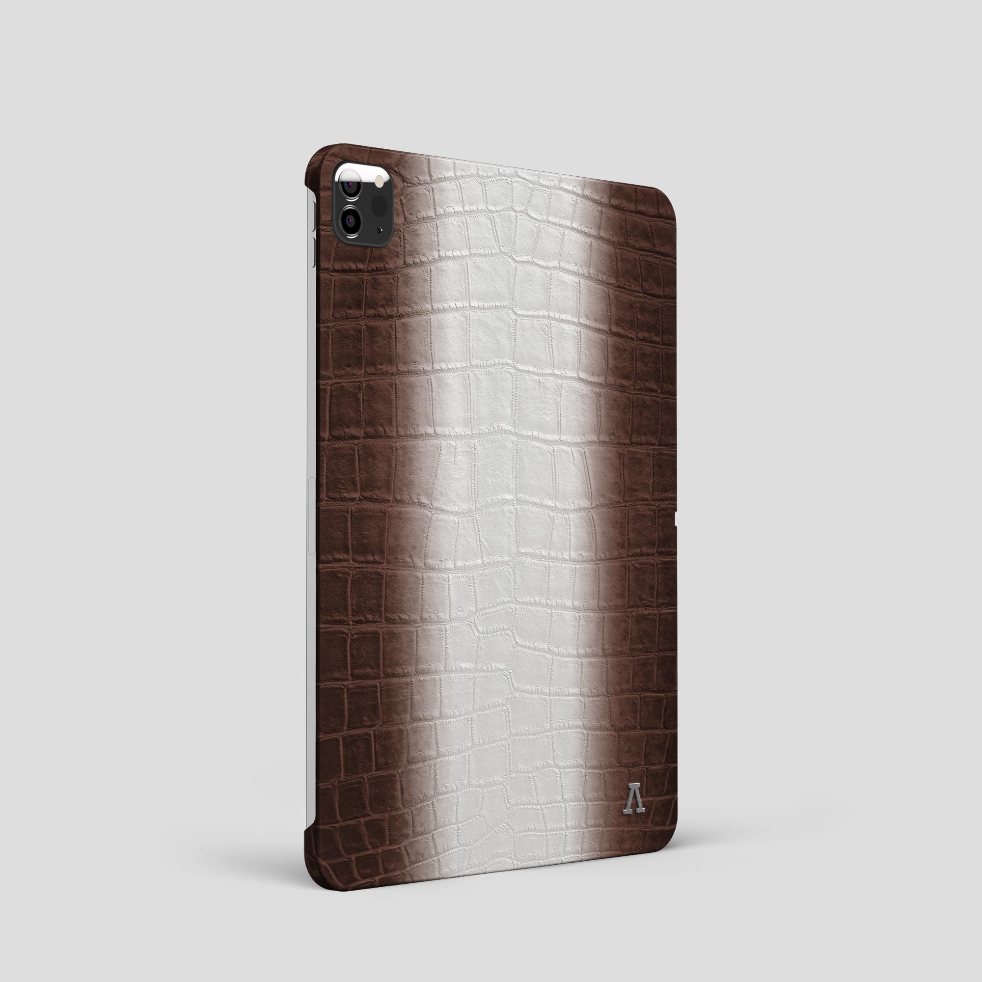 case-ipad-pro-11-himalaya-